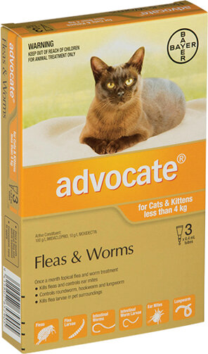 Advocate® Flea and Worm Treatment for Cats & Kittens less than 4kg, 3 or 6 pack