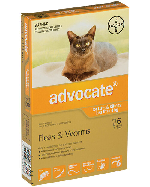 Advocate® Flea and Worm Treatment for Cats & Kittens less than 4kg, 3 or 6 pack