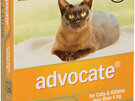 Advocate® Flea and Worm Treatment for Cats & Kittens less than 4kg, 3 or 6 pack