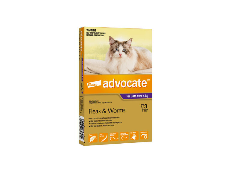 Advocate® Flea and Worm Treatment for Cats over 4kg, 3 or 6 pack