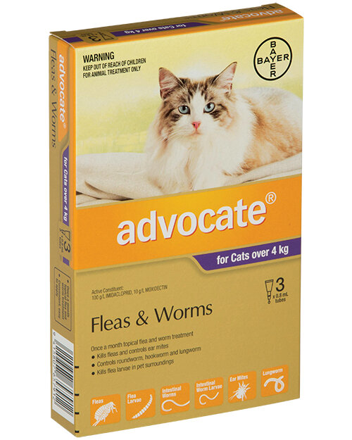 Advocate® Flea and Worm Treatment for Cats over 4kg, 3 or 6 pack