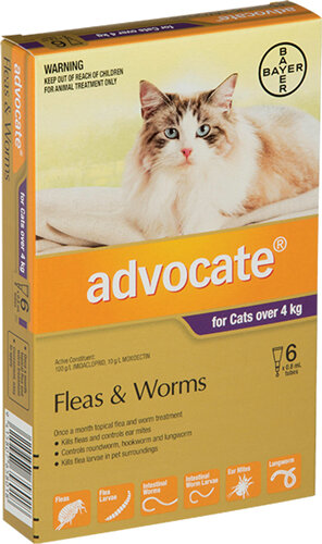 Advocate® Flea and Worm Treatment for Cats over 4kg, 3 or 6 pack