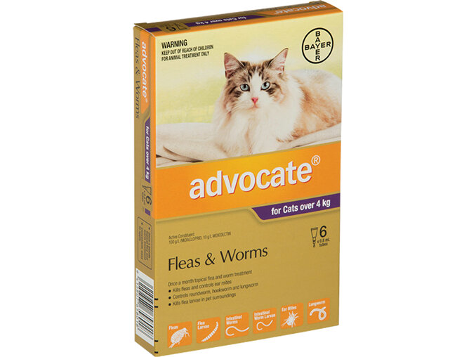 Advocate® Flea and Worm Treatment for Cats over 4kg, 3 or 6 pack