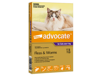 Advocate® Flea and Worm Treatment for Cats over 4kg, 3 or 6 pack