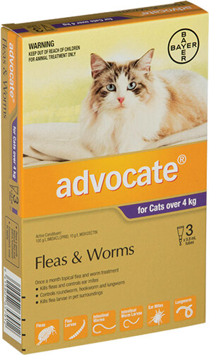 Advocate® Flea and Worm Treatment for Cats over 4kg, 3 or 6 pack