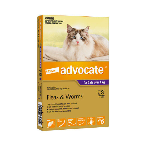 Advocate® Flea and Worm Treatment for Cats over 4kg, 3 or 6 pack