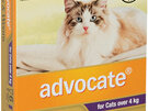 Advocate® Flea and Worm Treatment for Cats over 4kg, 3 or 6 pack