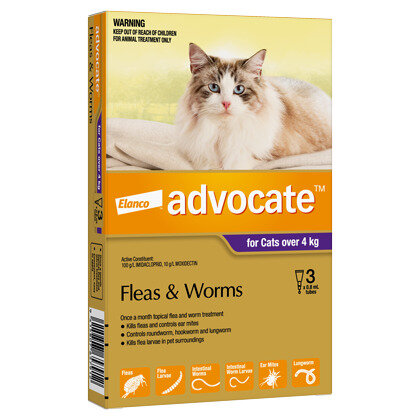 Advocate® Flea and Worm Treatment for Cats over 4kg, 3 or 6 pack