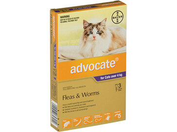 Advocate® Flea and Worm Treatment for Cats over 4kg, 3 or 6 pack