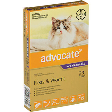 Advocate® Flea and Worm Treatment for Cats over 4kg, 3 or 6 pack