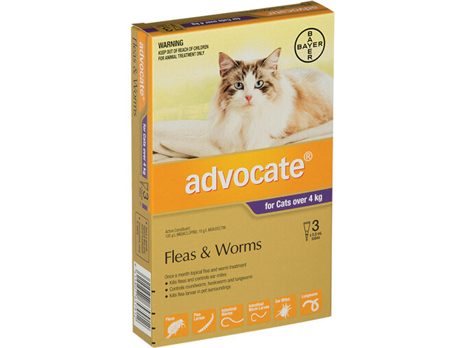 Advocate® Flea and Worm Treatment for Cats over 4kg, 3 or 6 pack