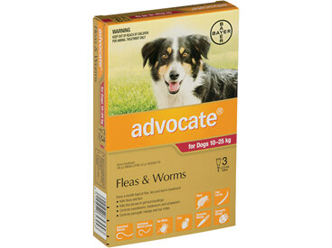 Advocate® Flea and Worm Treatment for Dogs 10-25kg,  3 pack