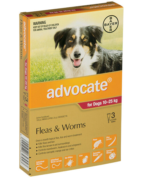 Advocate® Flea and Worm Treatment for Dogs 10-25kg,  3 pack