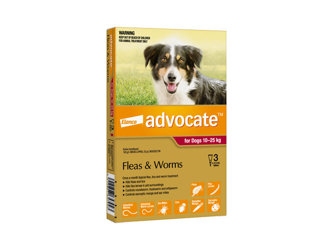 Advocate® Flea and Worm Treatment for Dogs 10-25kg,  3 pack