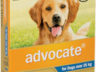 Advocate® Flea and Worm Treatment for Dogs over 25kg, 3 or 6 pack