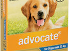 Advocate® Flea and Worm Treatment for Dogs over 25kg, 3 or 6 pack