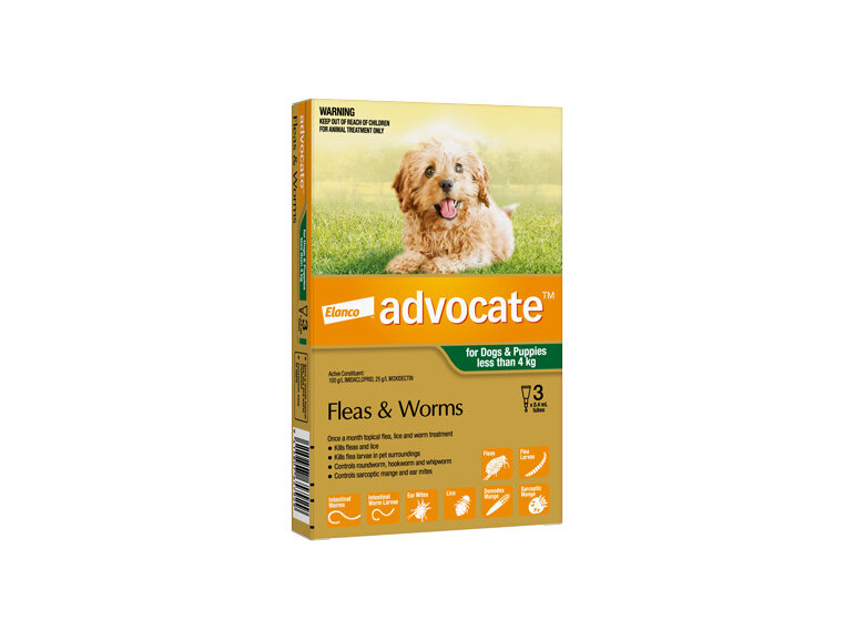 Advocate® Flea and Worm Treatment for Dogs & Puppies less than 4kg, 3 pack