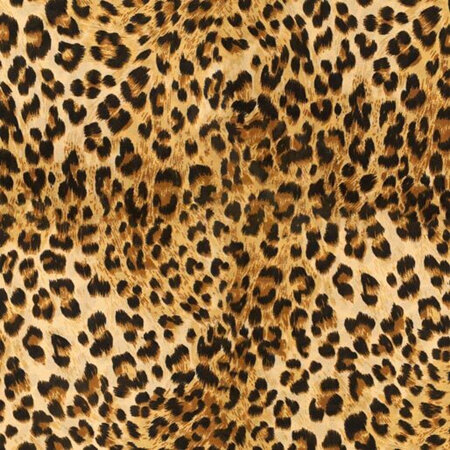 African Safari - Cheetah Spots