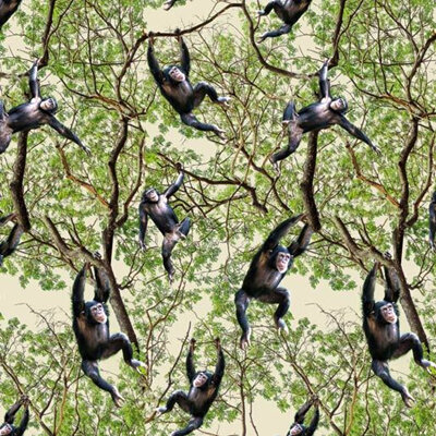 African Safari - Chimpanzee Jungle