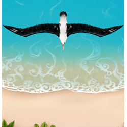 Albatross Shores A3 Print