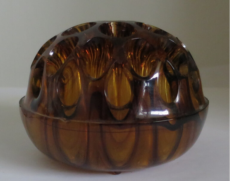 Amber glass frog