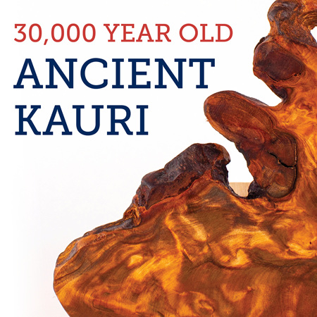 Ancient Kauri