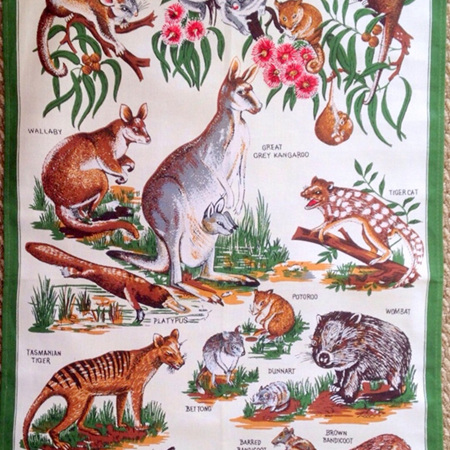 Animals of Tasmania Tea Towel