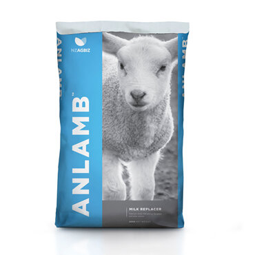 AnLamb