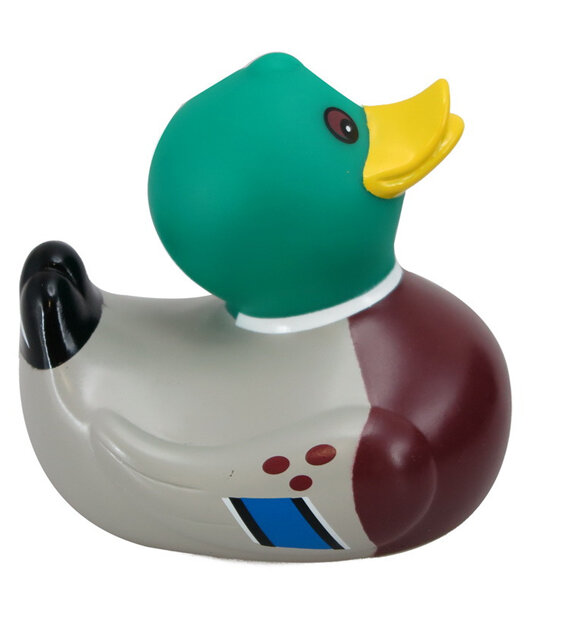 Antics Bath Duck Mallard toy rubber duckie kids baby