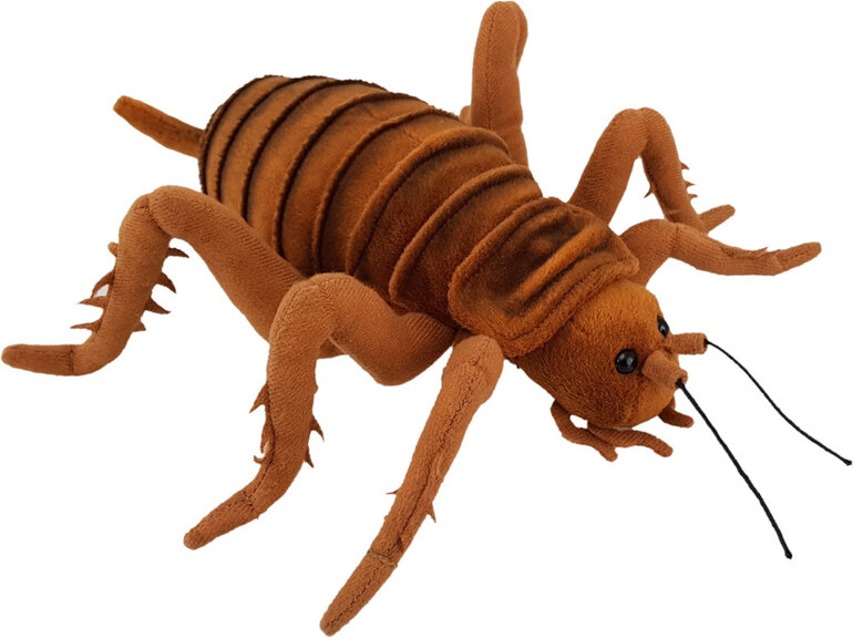 Antics Giant Weta 35cm nz kiwiana insect endemic plush soft toy