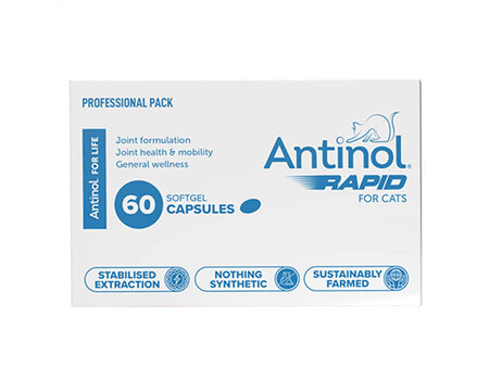 Antinol Rapid Cat Capsules