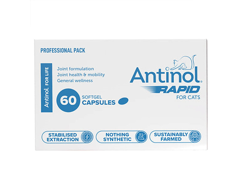 Antinol Rapid Cat Capsules