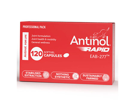 Antinol Rapid Dog Capsules 120 Pack
