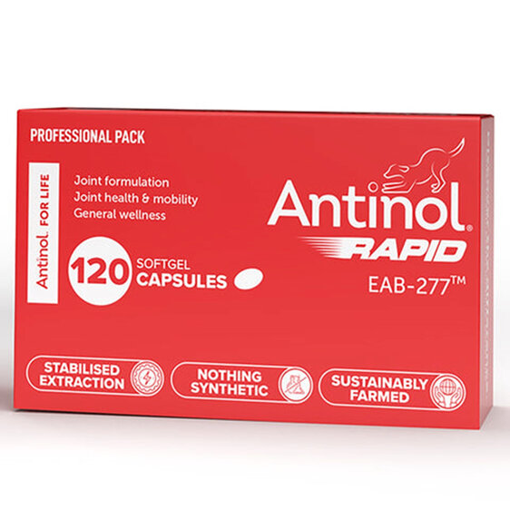 Antinol Rapid Dog Capsules 120 Pack