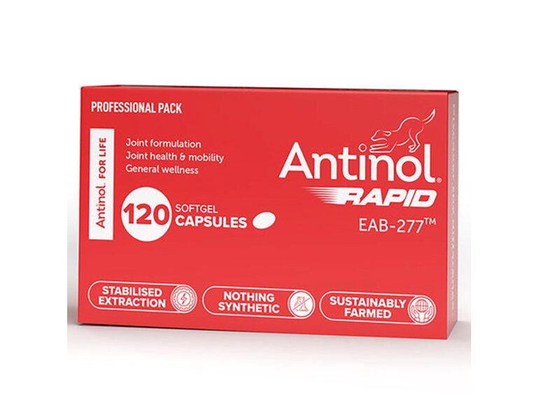 Antinol Rapid Dog Capsules 120 Pack