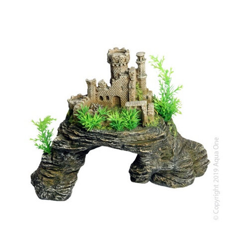 Aqua One - Castle on Cave Rock