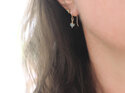 Aquamarine gemstone march birthstone rosehip earrings lily griffin nz jeweller