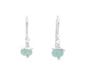 Aquamarine gemstone march birthstone rosehip earrings lilygriffin nz jewellery