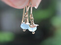Aquamarine gemstone solid 9k gold march earrings lily griffin nz jewelry