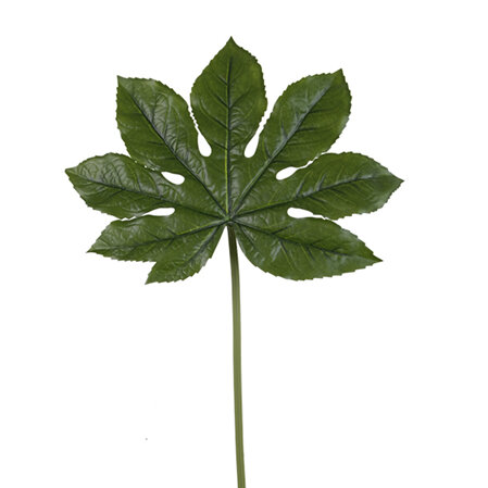 Aralia leaf 4028