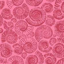 Arcadia - Ammonites - Pink