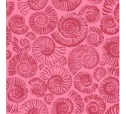 Arcadia - Ammonites - Pink