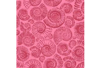 Arcadia - Ammonites - Pink