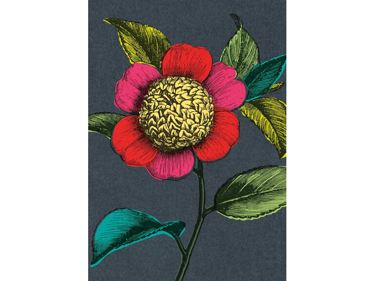 Art Press - Colourful Camellia Card flower