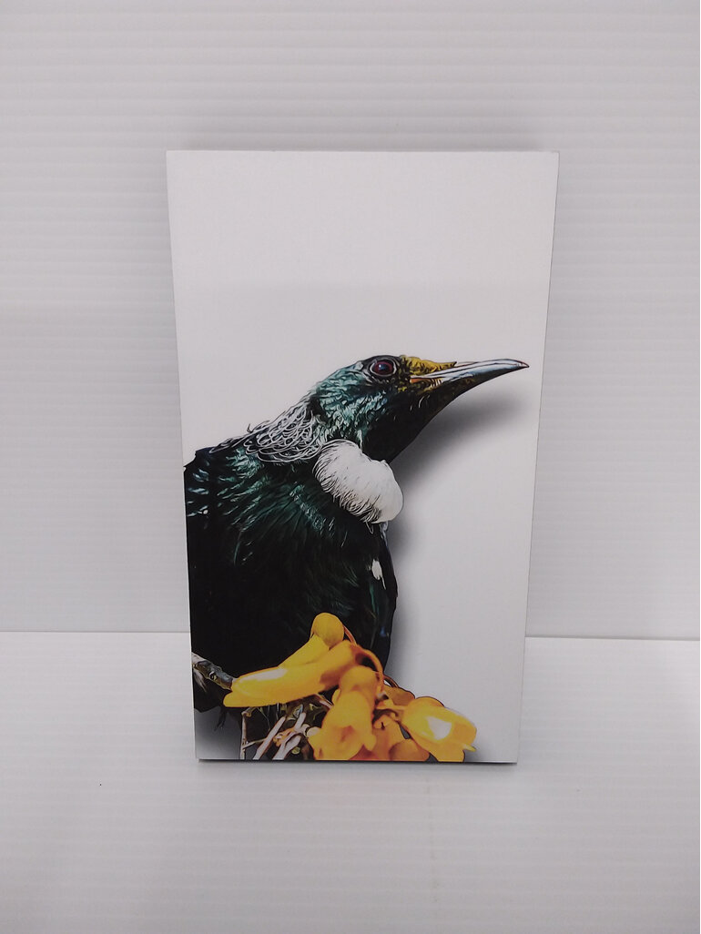 #artblock#bird#design#native#tui