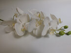 #artificialflowers #fakeflowers #decorflowers #fauxflowers#silk#orchid#plant#