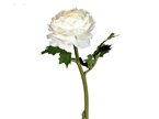 #artificialflowers #fakeflowers #decorflowers #fauxflowers#ranuncular#white#