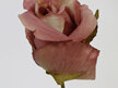 #artificialflowers #fakeflowers #decorflowers #fauxflowers#rose#bud#pink#