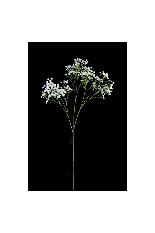#artificialflowers #fakeflowers #decorflowers #fauxflowers#gypsophilia#white