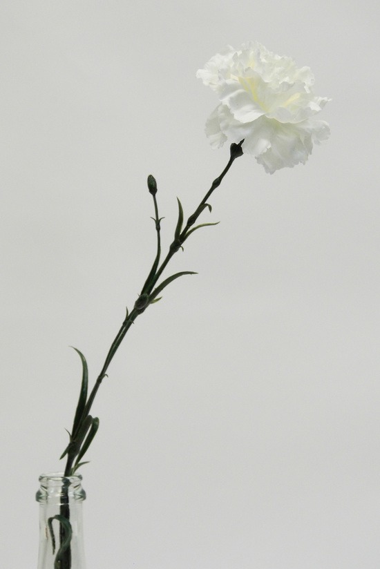 #artificialflowers #fakeflowers #decorflowers #fauxflowers#carnation#white#